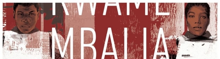 《星球大战》正史小说《最后指令》剧情介绍